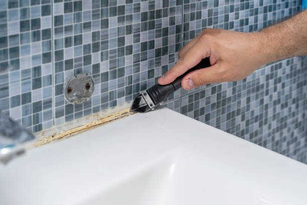 Mold Removal and Inspection in Hollywood, SC